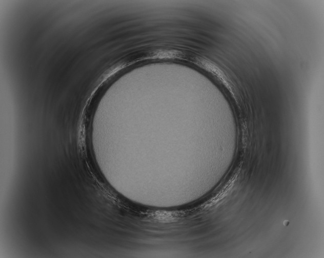 X0000093370827200711081523