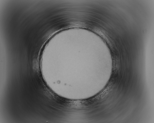 X0000093370828200711081523
