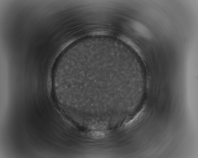 X0000093370829200711081523