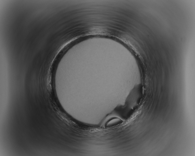 X0000093370830200711081523