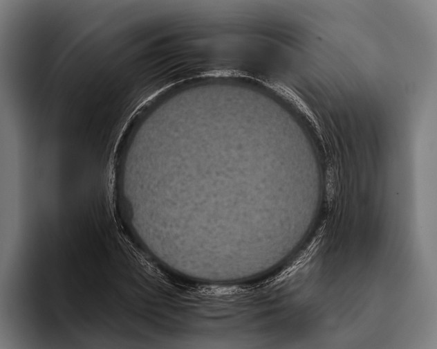 X0000093370831200711081523