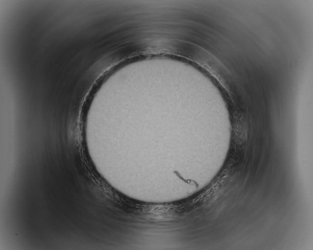 X0000093370832200711081523