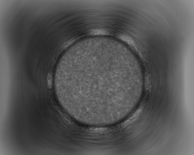 X0000093370833200711081523