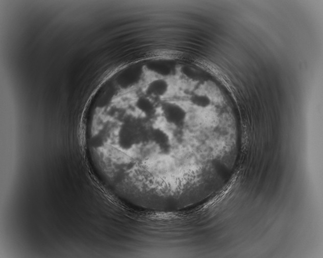 X0000093370835200711081523