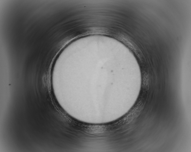 X0000093370836200711081523