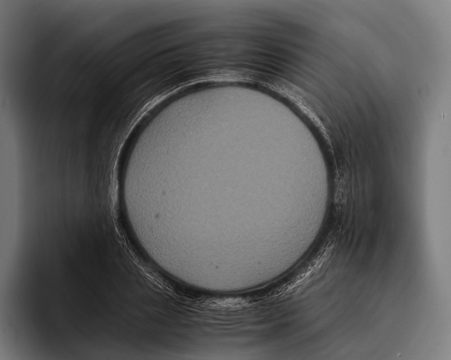X0000093370837200711081523