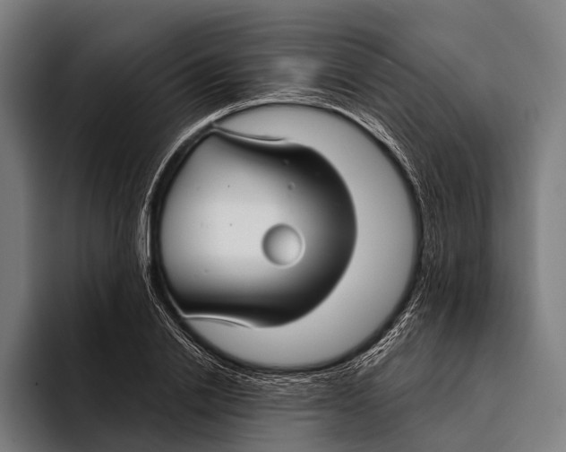 X0000093370838200711081523