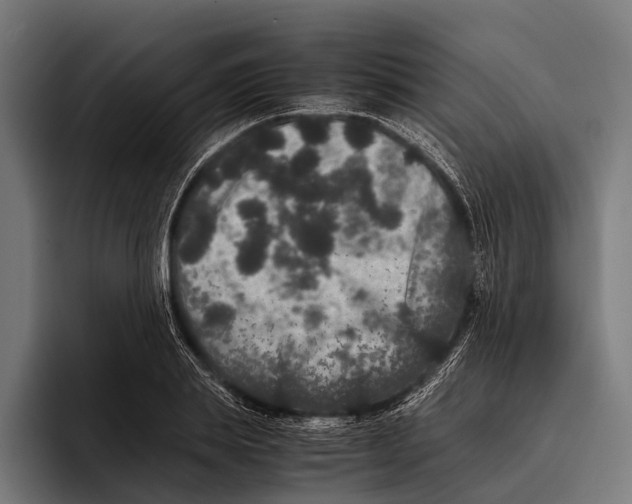 X0000093370839200711081523
