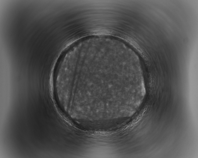 X0000093370840200711081523