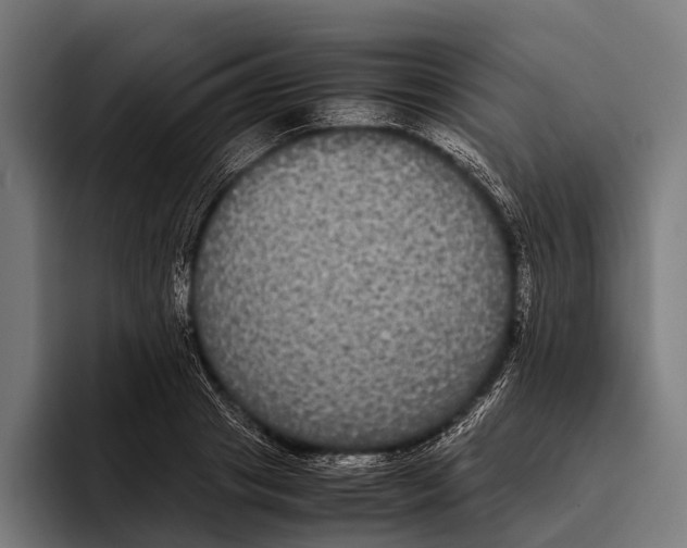 X0000093370841200711081523