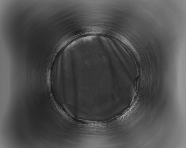 X0000093370842200711081523