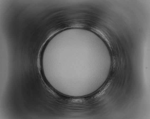 X0000093370843200711081523