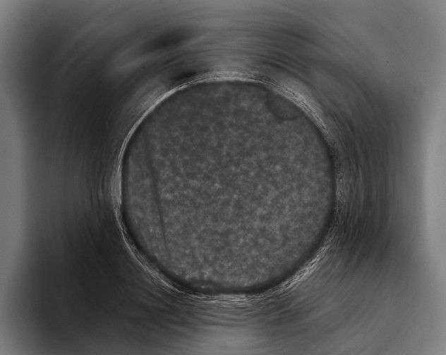 X0000093370844200711081523