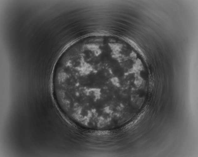 X0000093370845200711081523