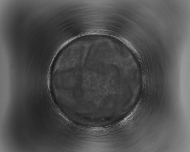 X0000093370846200711081523