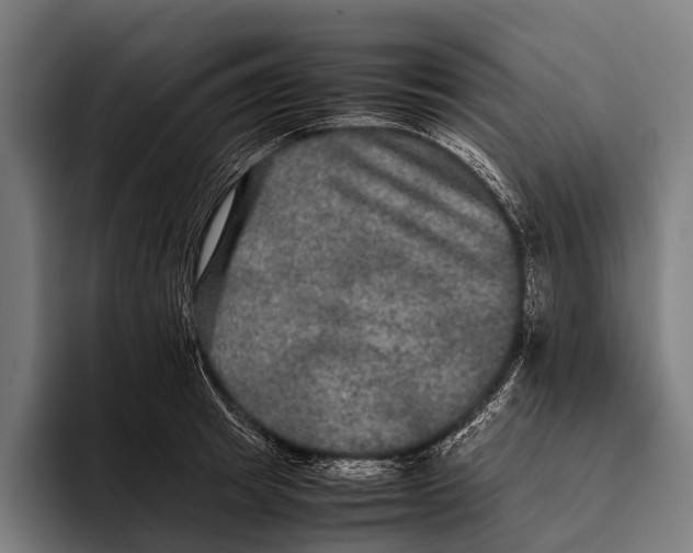 X0000093370849200711081523