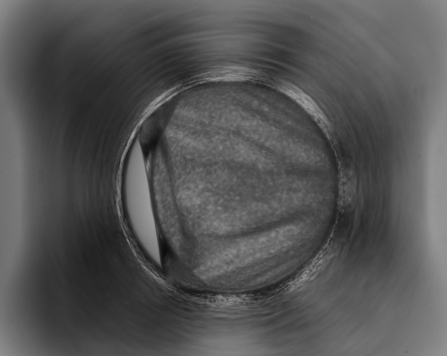 X0000093370850200711081523