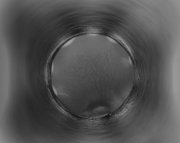 X0000093370851200711081523