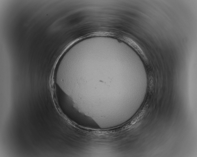 X0000093370852200711081523