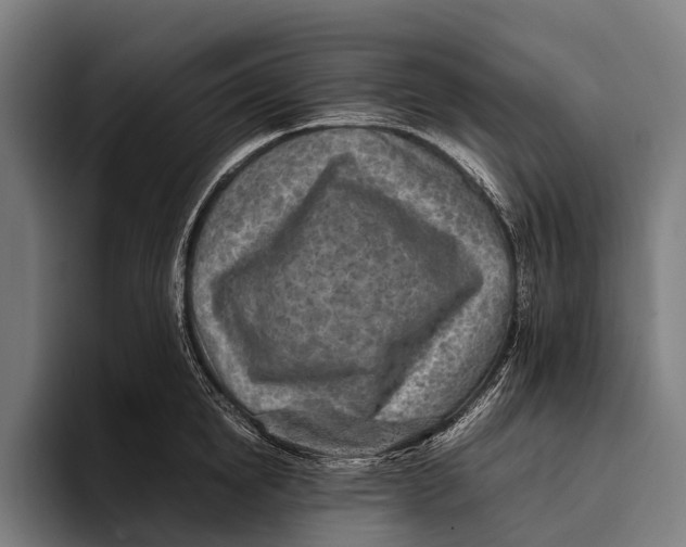 X0000093370854200711081523