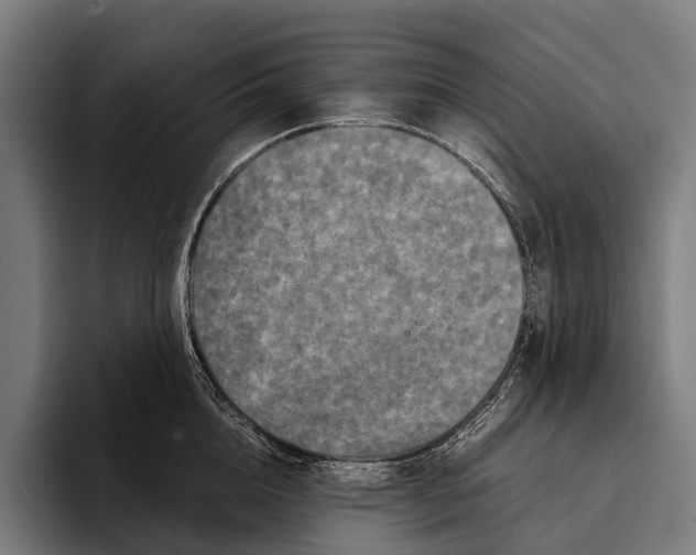 X0000093370856200711081523