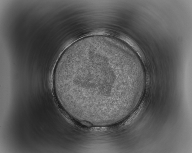 X0000093370858200711081523