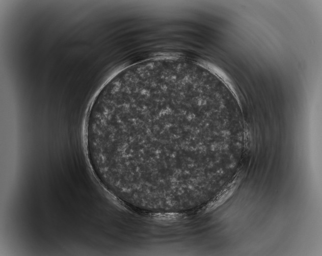 X0000093370859200711081523
