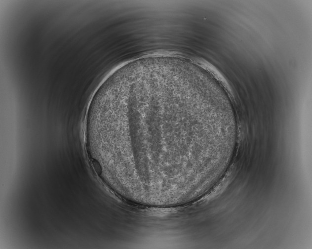 X0000093370860200711081523