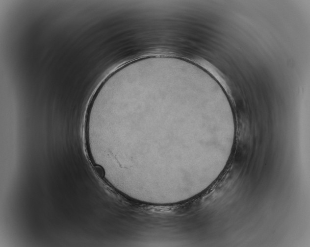 X0000093370861200711081523