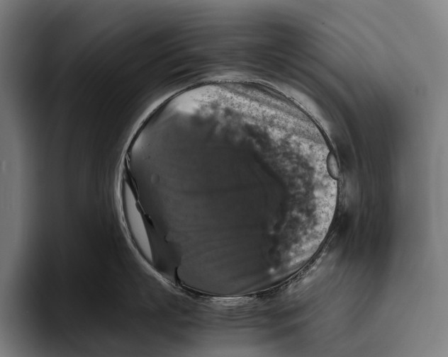 X0000093370863200711081523
