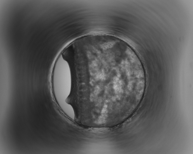 X0000093370864200711081523