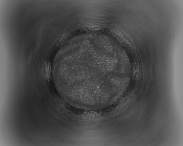 X0000093370866200711081523