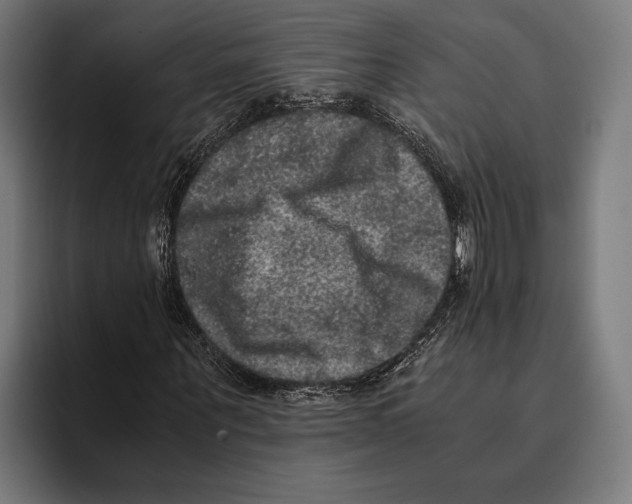 X0000093370867200711081523
