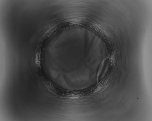 X0000093370868200711081523