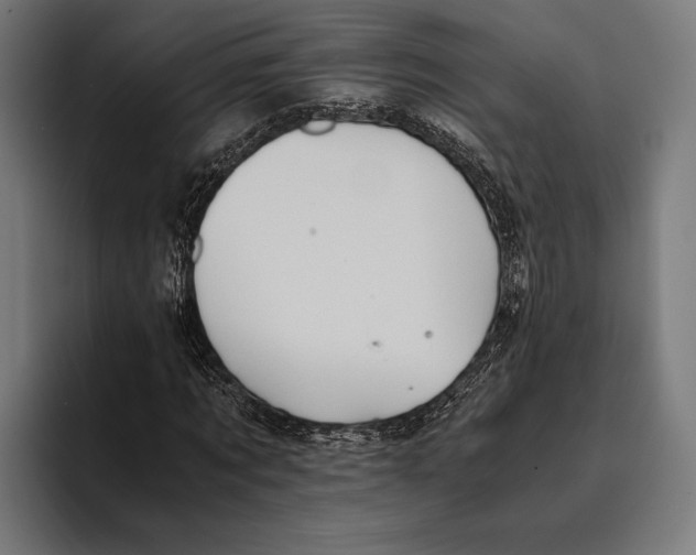 X0000093370869200711081523