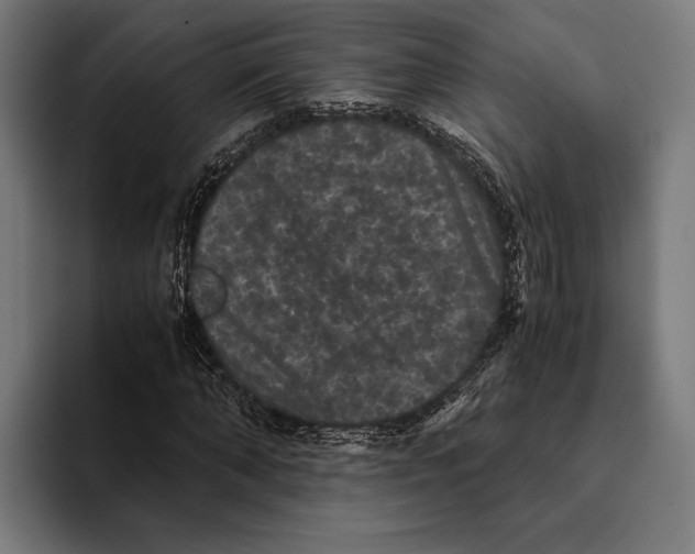 X0000093370870200711081523