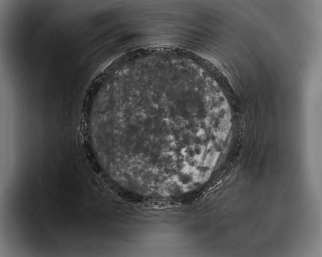 X0000093370871200711081523