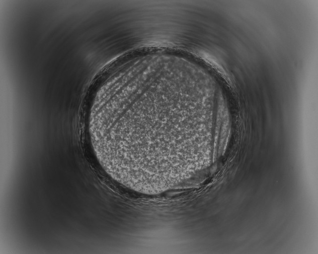 X0000093370872200711081523