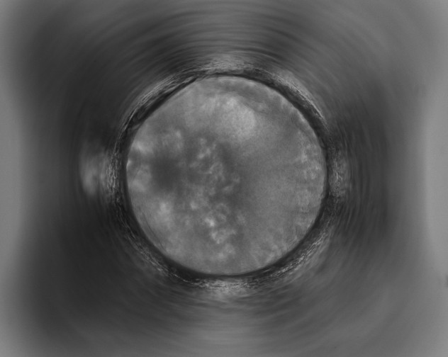 X0000093370874200711081523