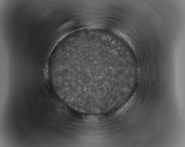 X0000093370875200711081523