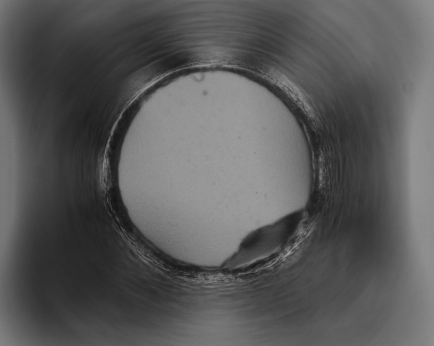 X0000093370876200711081523
