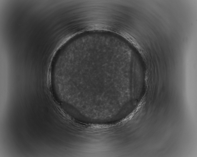 X0000093370877200711081523