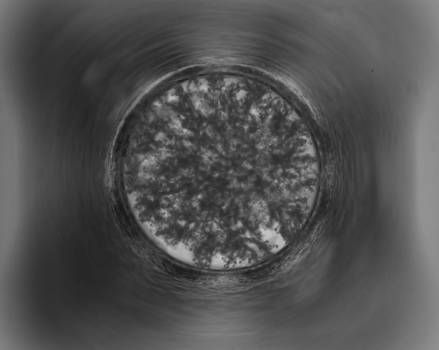 X0000093370879200711081523