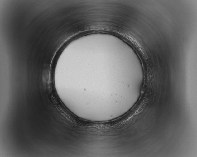 X0000093370880200711081522