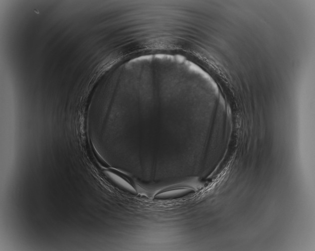 X0000093370881200711081522