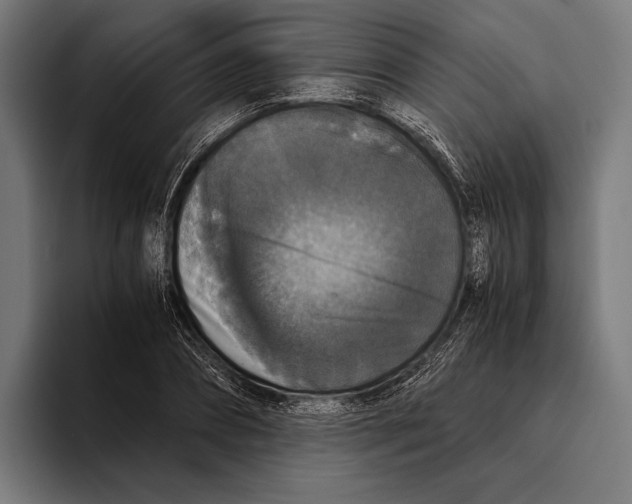 X0000093370882200711081522