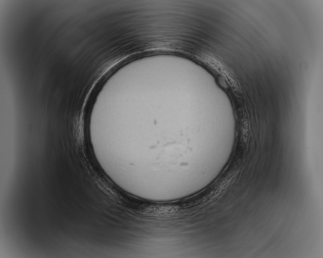 X0000093370884200711081522