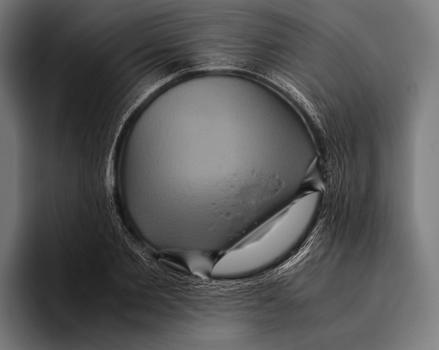 X0000093370885200711081522