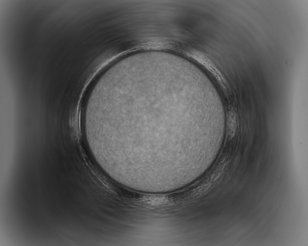 X0000093370886200711081522