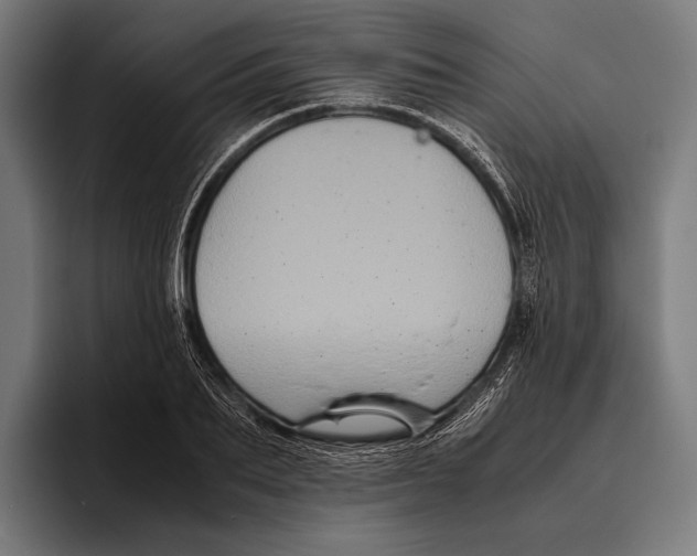 X0000093370887200711081522